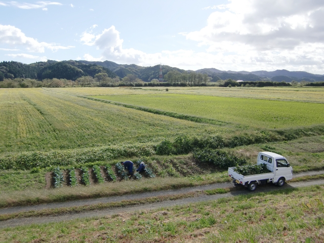 世界の農業大国と日本の農業は何が違うのか