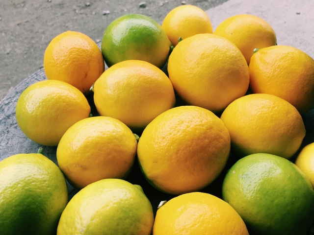 需要高まる国産レモン栽培。寒い地域でのレモン栽培のコツ＆耐寒性の強い品種とは｜画像２