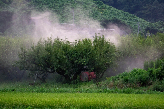 農薬使用のポイント。剤型の選び方や農薬の薄め方・溶かし方など｜画像３