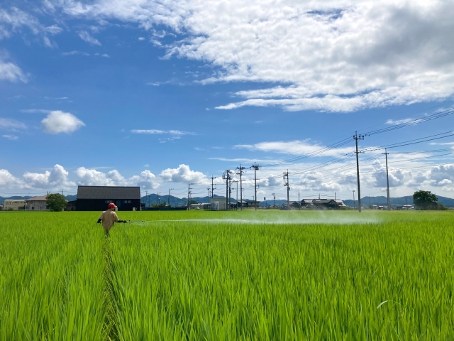 農薬散布の基本。農薬散布のタイミング、効果的な散布方法、注意点について。｜画像３