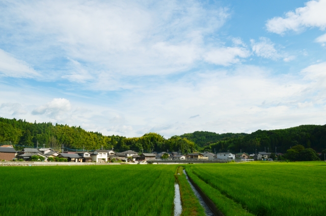 日本の農業の課題、就業人口の減少について。｜画像１